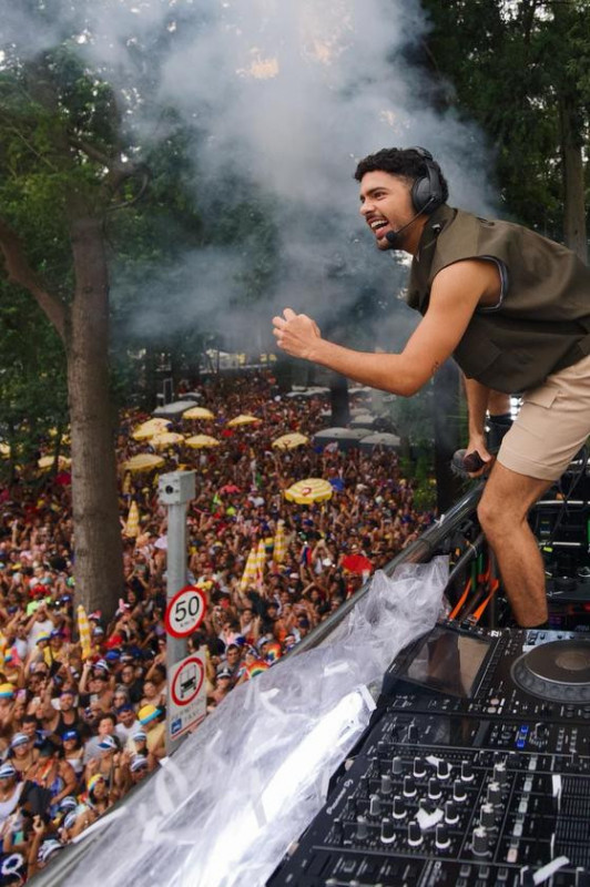 Macaque in the trees