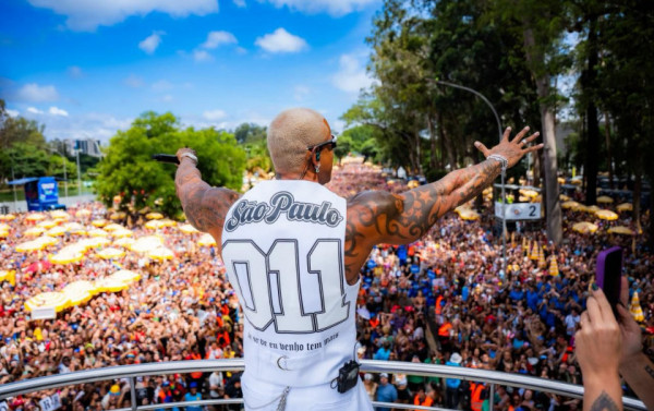 Macaque in the trees