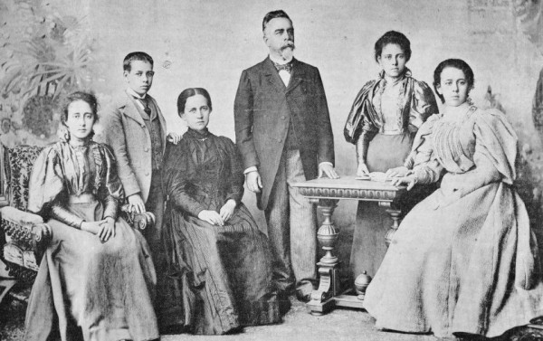 Macaque in the trees