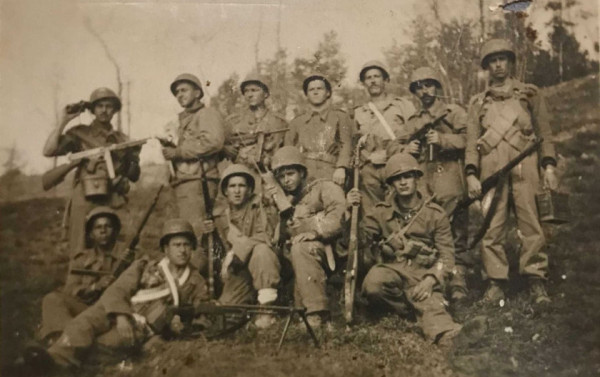 Macaque in the trees