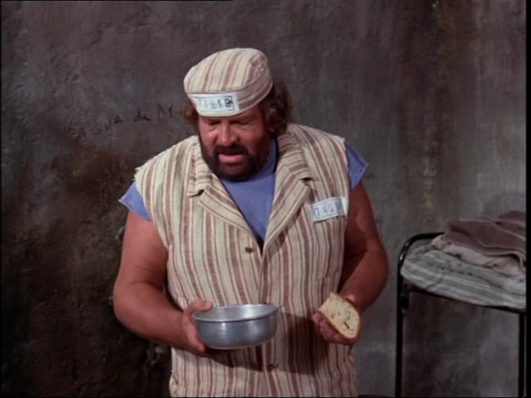 Macaque in the trees