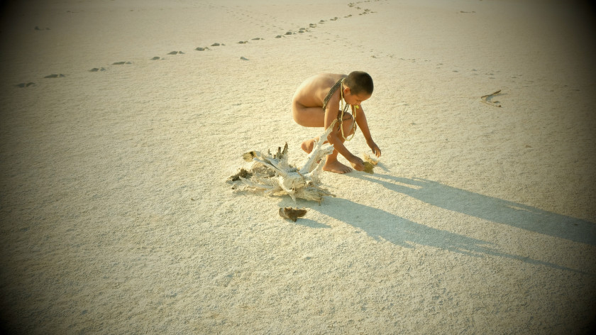 Macaque in the trees