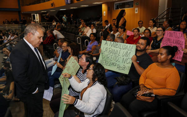 Macaque in the trees