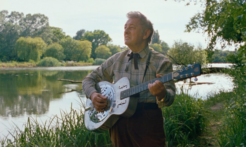 Macaque in the trees