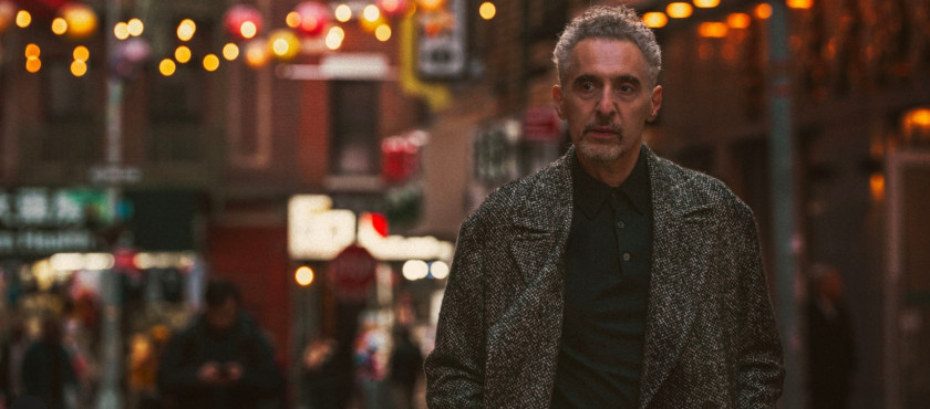 Macaque in the trees