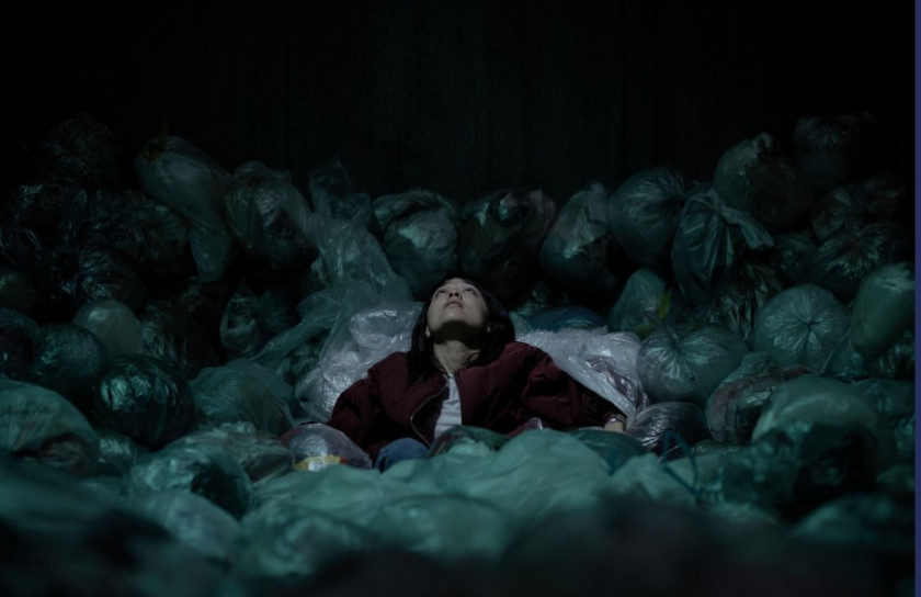 Macaque in the trees