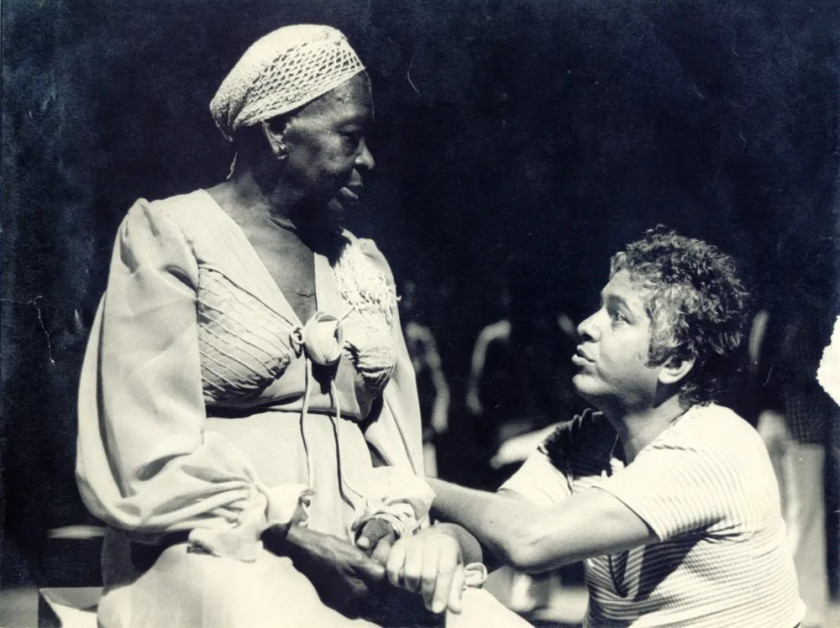 Macaque in the trees