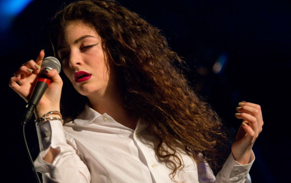 Macaque in the trees