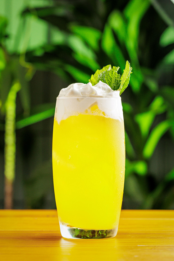 Macaque in the trees