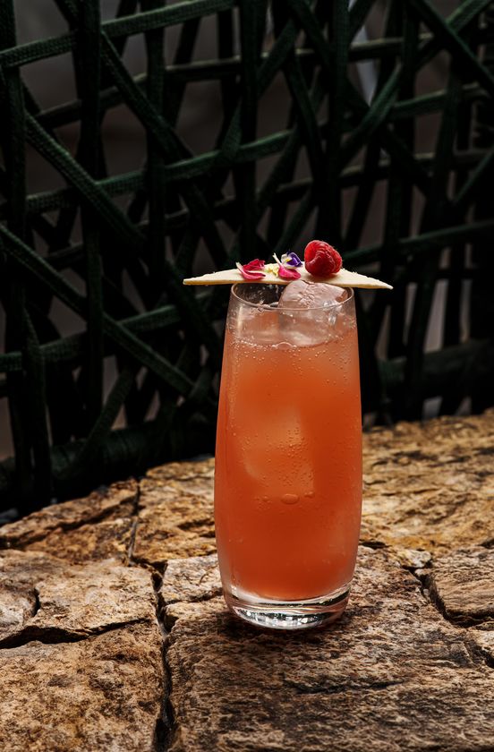 Macaque in the trees