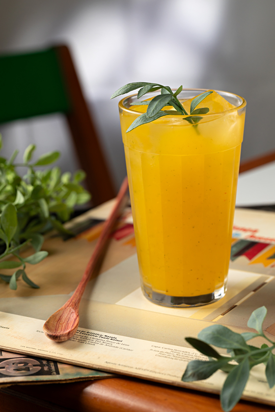 Macaque in the trees