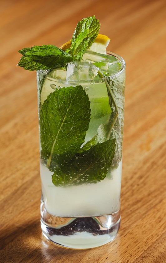 Macaque in the trees