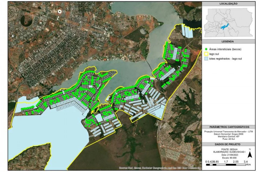 Macaque in the trees