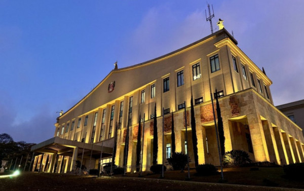 Macaque in the trees