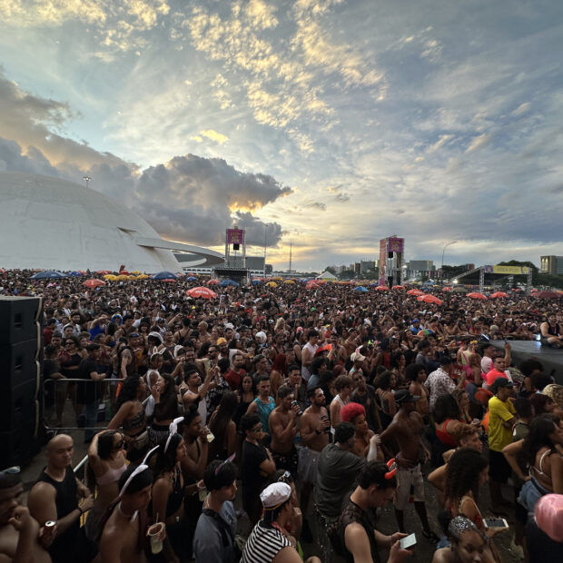 Folia brasiliense se consolida como ativo econômico Macaque in the trees