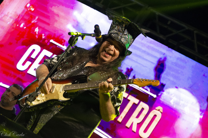 Macaque in the trees