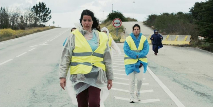 Macaque in the trees