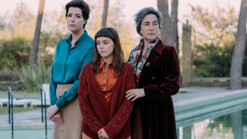 Macaque in the trees