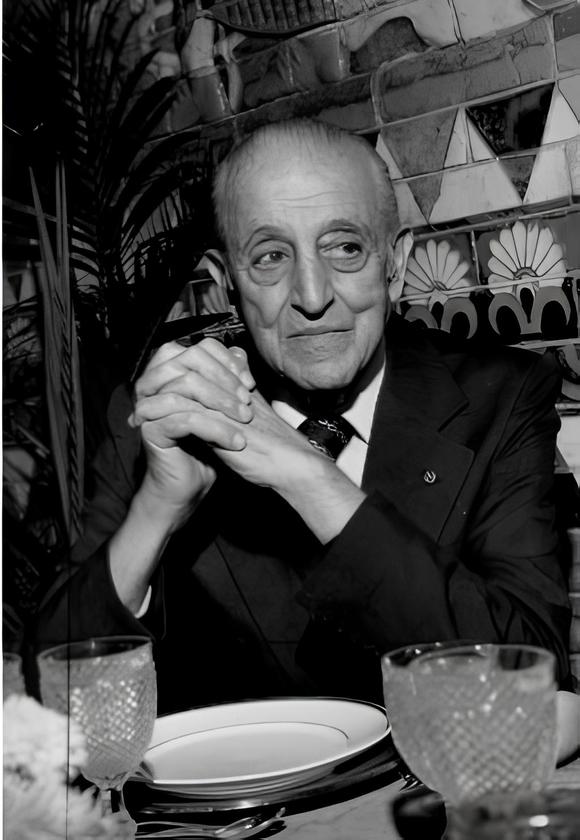 Macaque in the trees