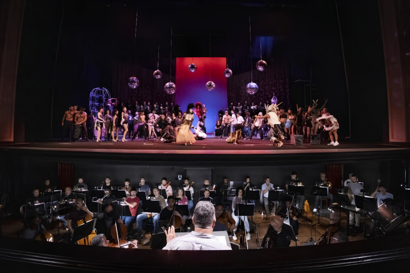 Macaque in the trees