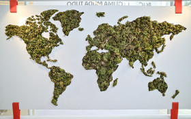 Uma exposi&ccedil;&atilde;o desconfort&aacute;vel