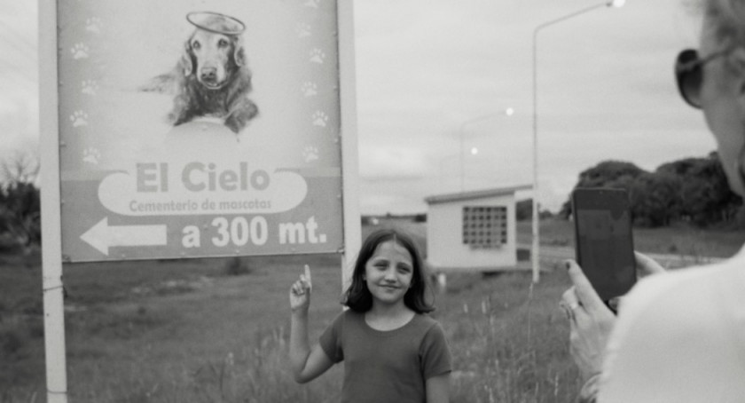 Macaque in the trees