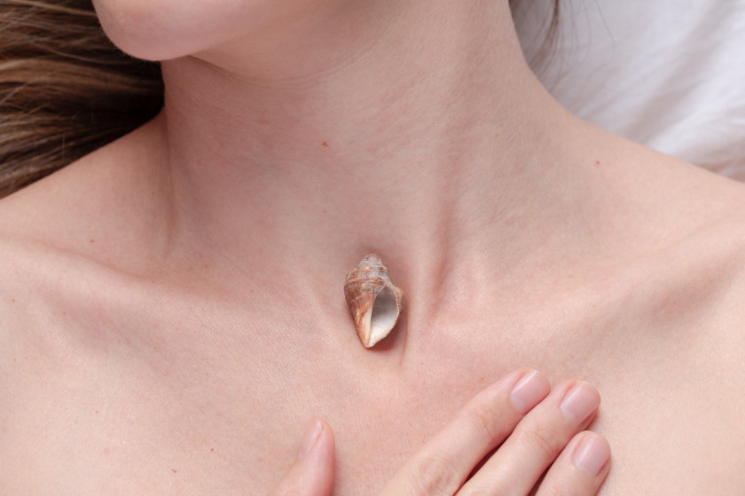 Macaque in the trees