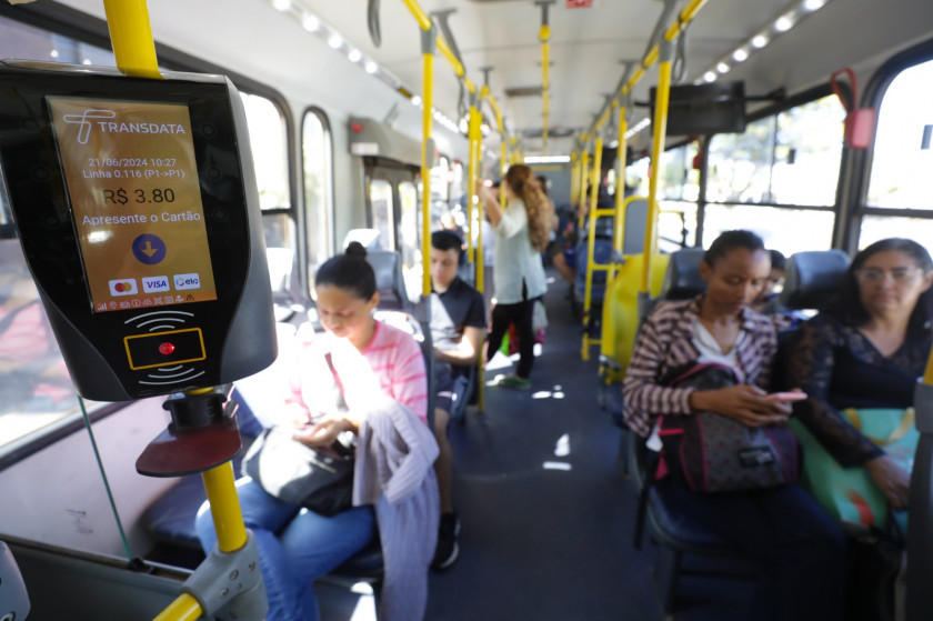 Macaque in the trees