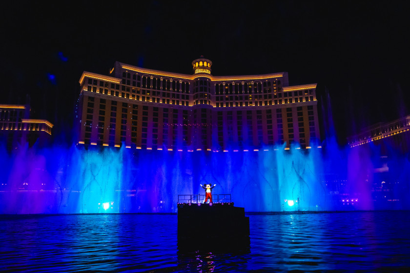 Macaque in the trees