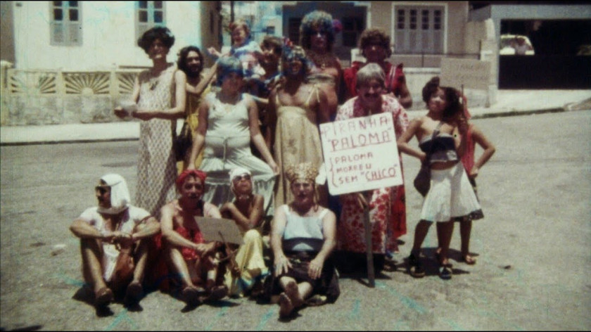 Macaque in the trees
