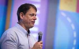 Macaque in the trees