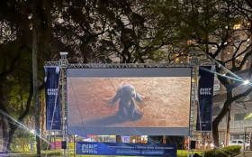 CineDiadema celebra mulheres com mostra especial