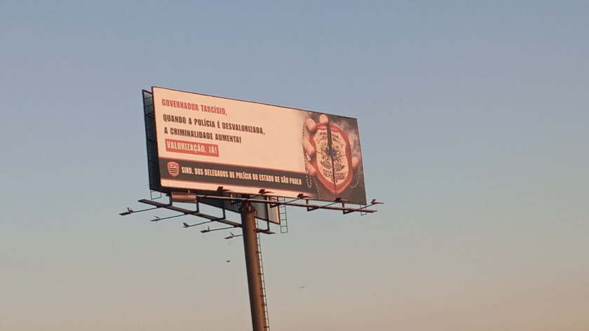 Macaque in the trees