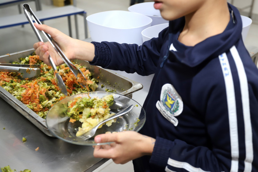 Macaque in the trees