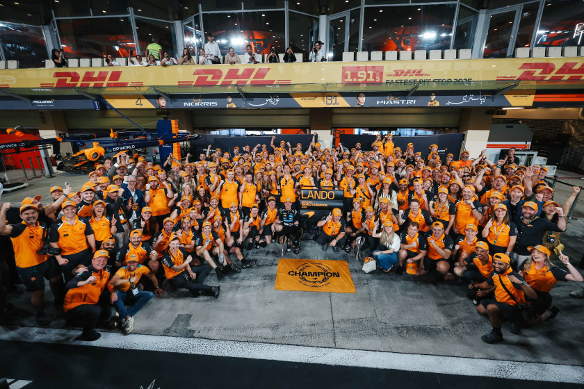 Macaque in the trees