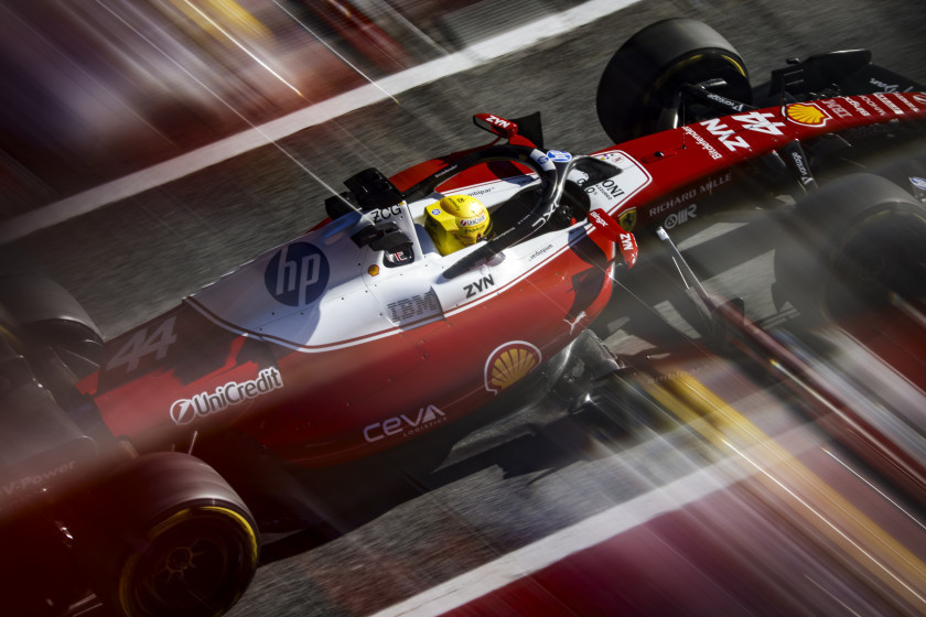 Macaque in the trees