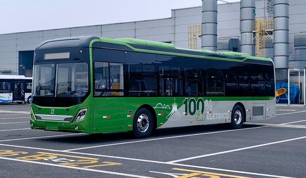 Macaque in the trees