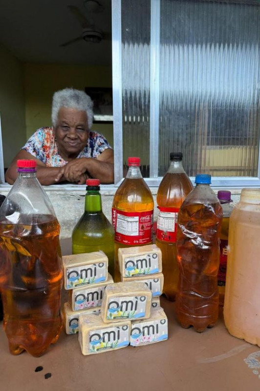 Macaque in the trees