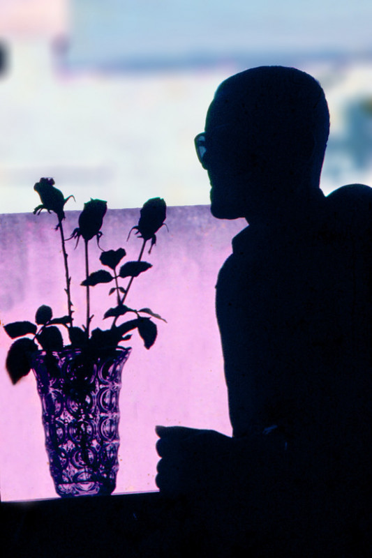 Macaque in the trees