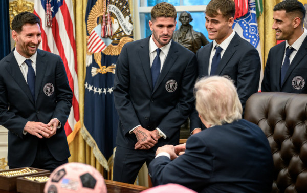 Macaque in the trees