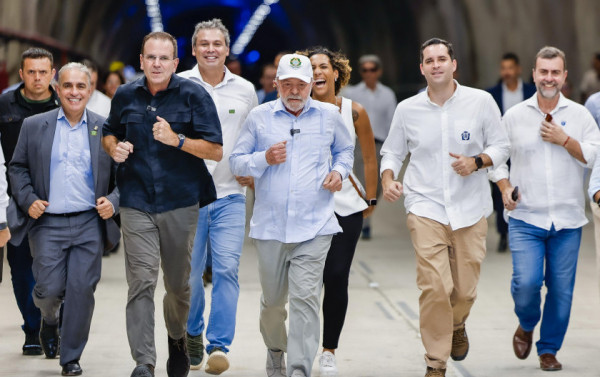 Macaque in the trees