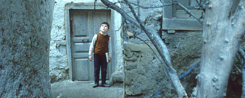 Macaque in the trees