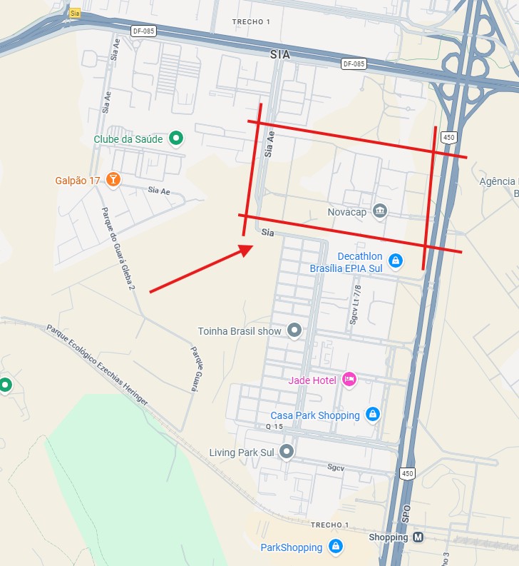 Macaque in the trees