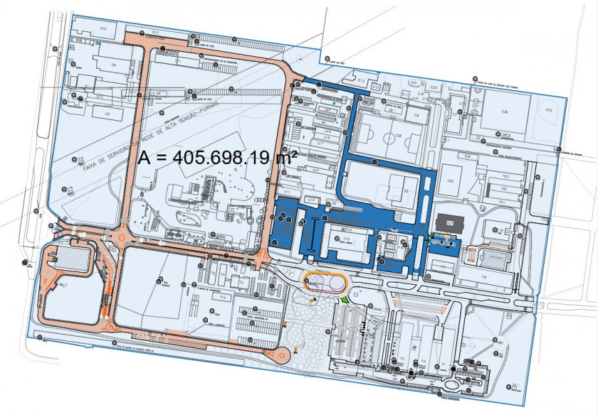 Macaque in the trees