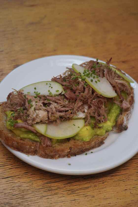 Macaque in the trees