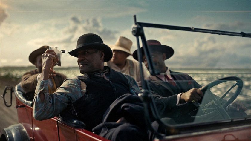 Macaque in the trees