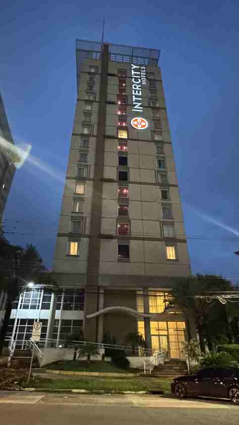 Macaque in the trees