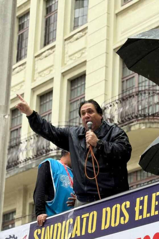 Macaque in the trees