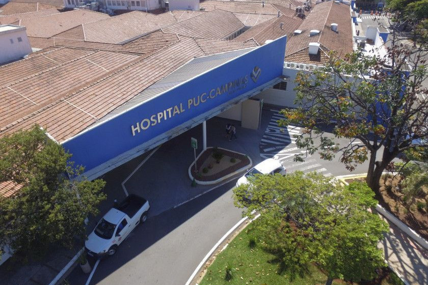 Macaque in the trees