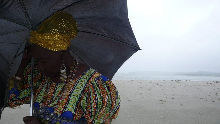 Macaque in the trees